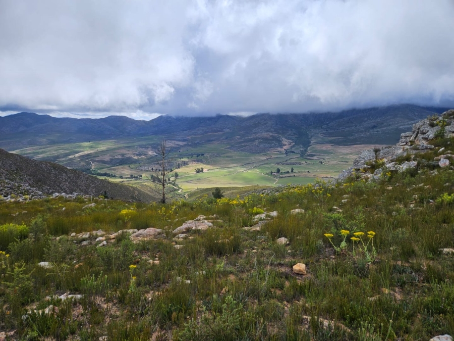 Commercial Property for Sale in Avontuur Western Cape